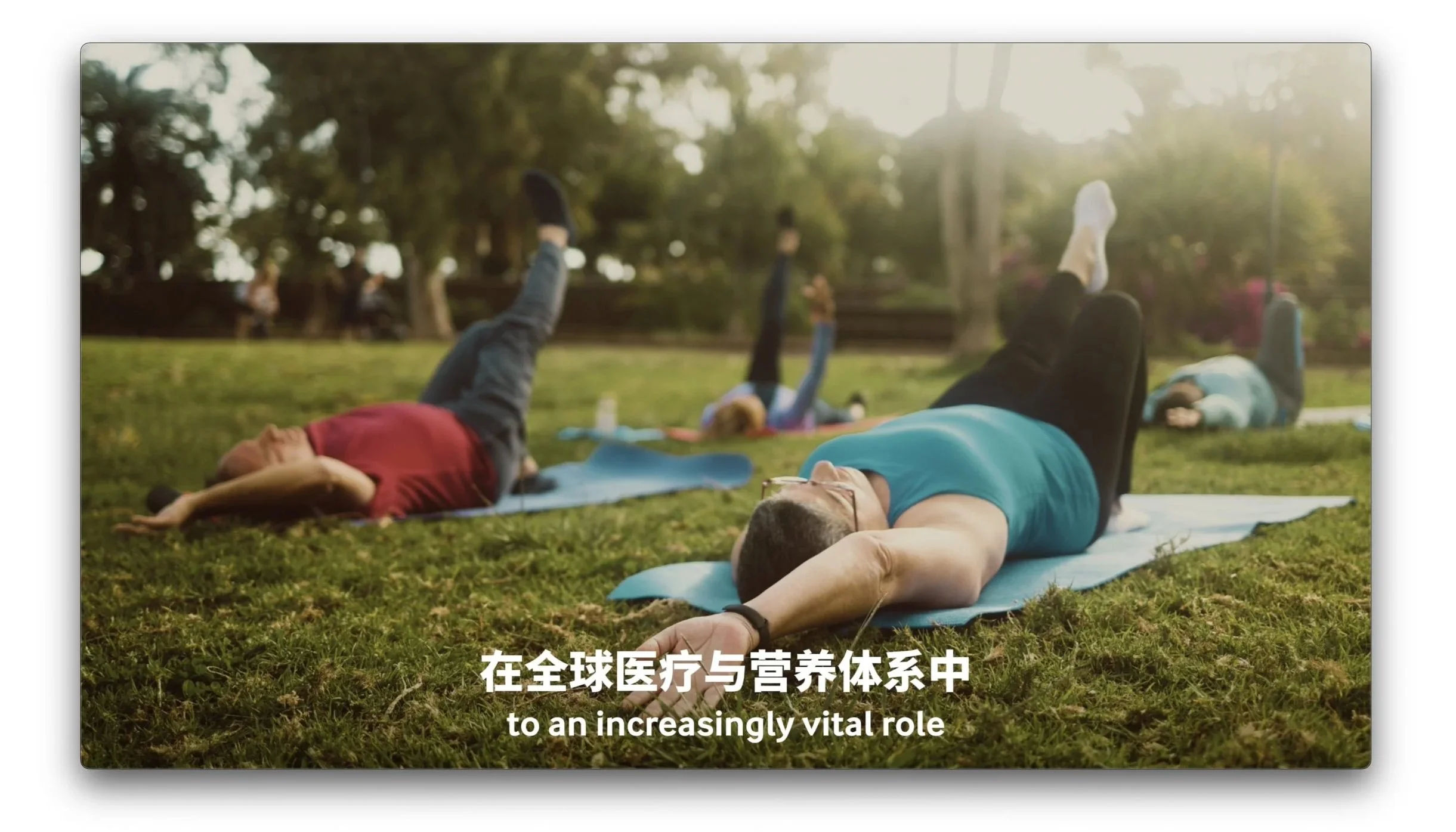 People practicing yoga outdoors on grass in a park during sunset.