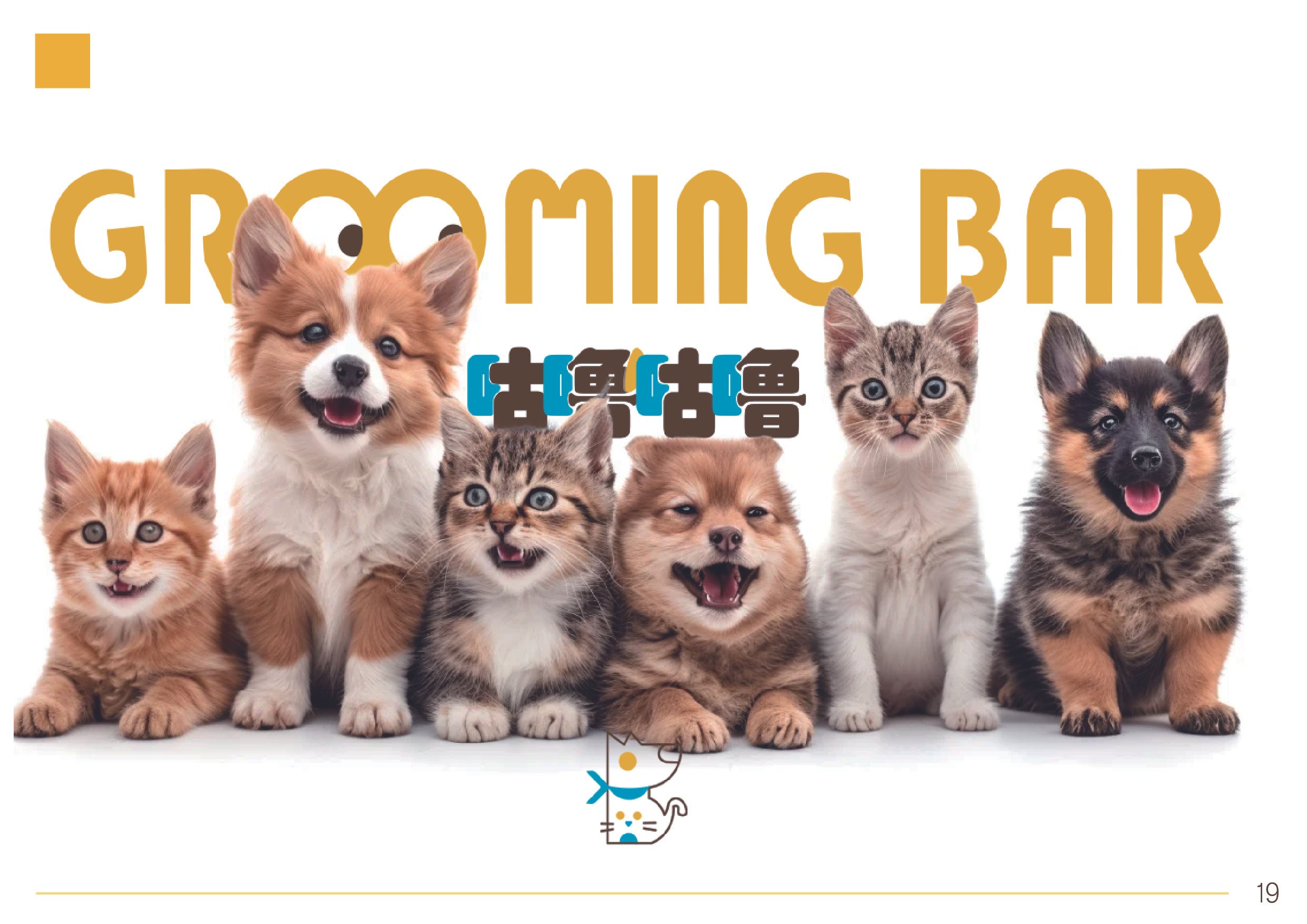 Six adorable puppies and kittens sitting side by side with the words 'GROOMING BAR' in large gold letters at the top.