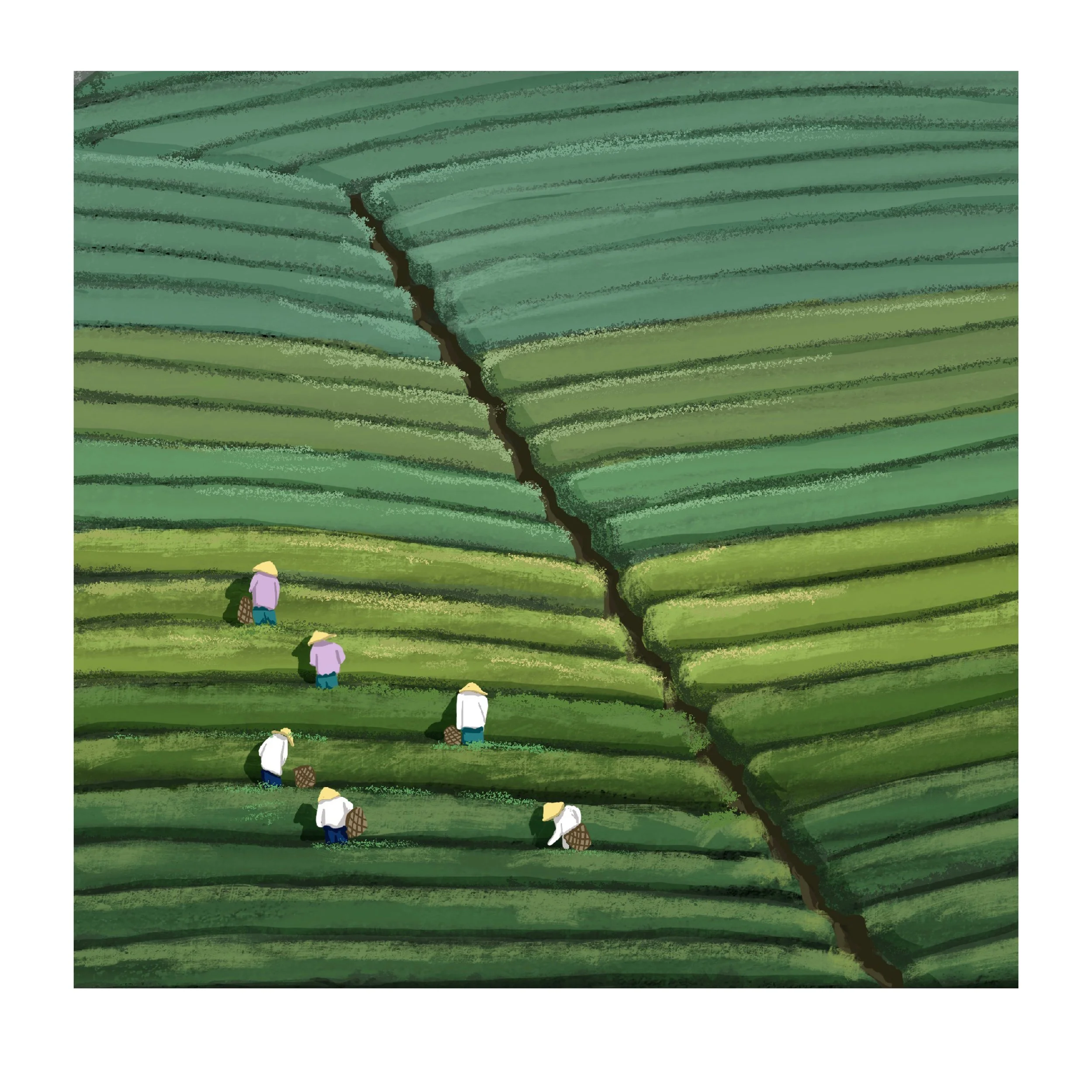 Illustration of farmers working in rice fields with a large crack running through the middle of the fields.