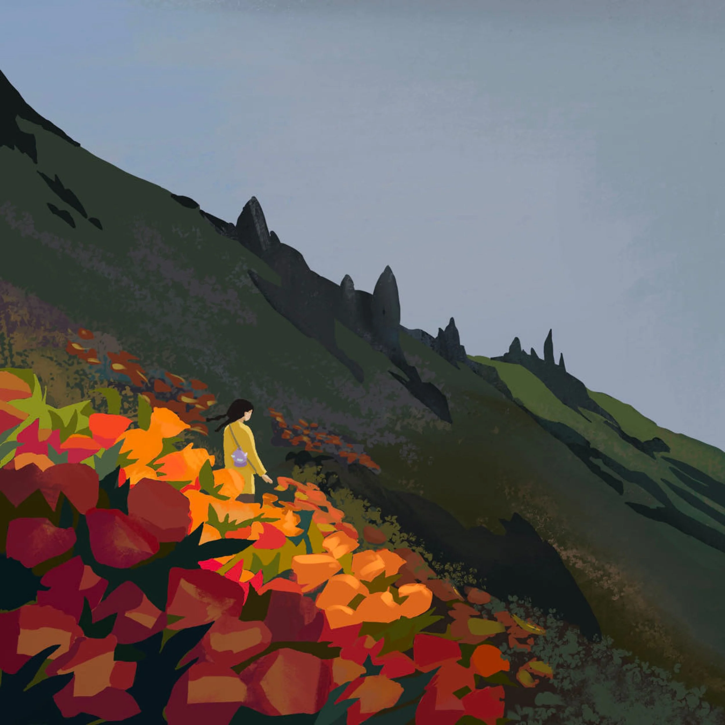 A person in a yellow jacket walking through a field of orange and red flowers on a hillside with dark green mountains and rocks in the background under a cloudy sky.