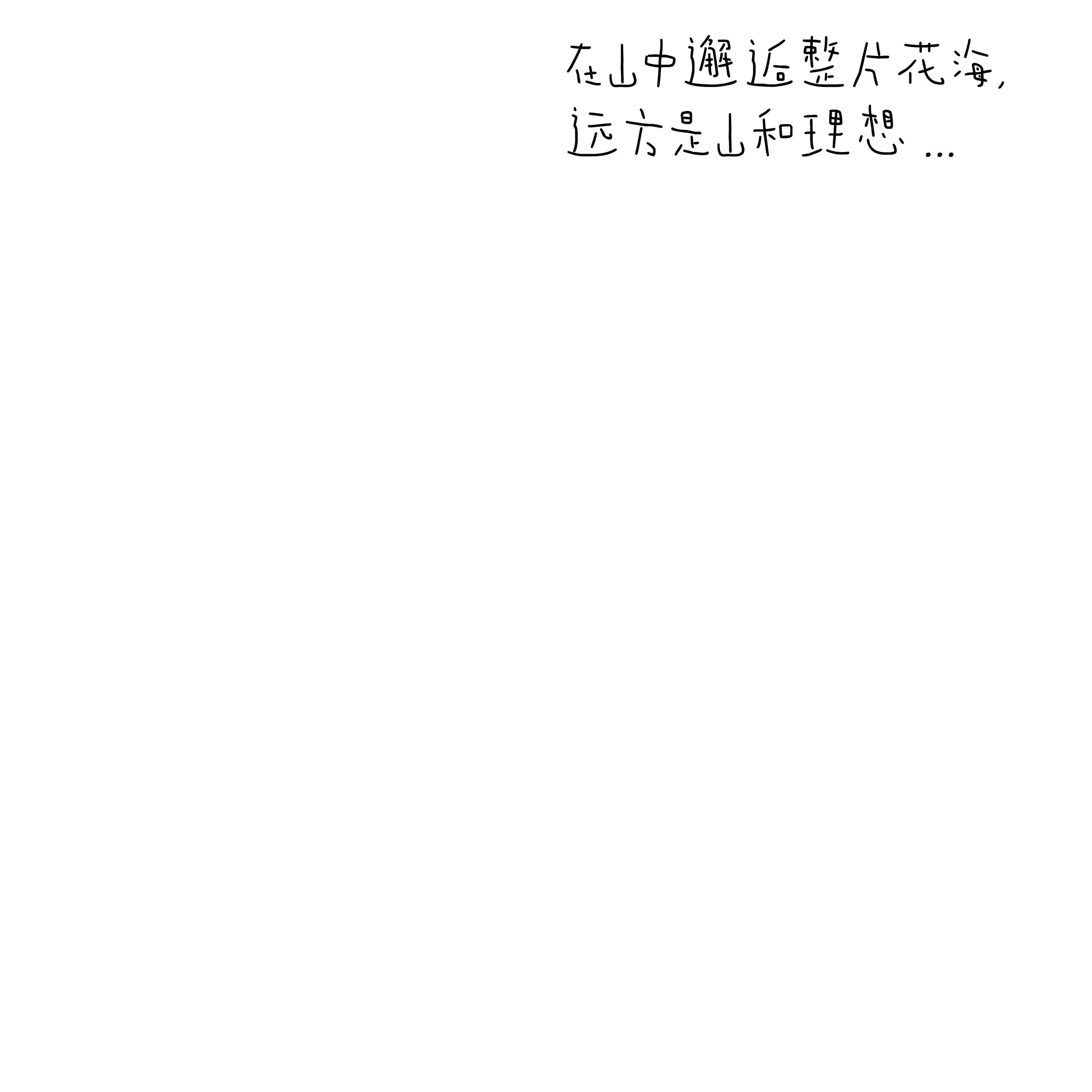 Chinese handwritten text on white paper.