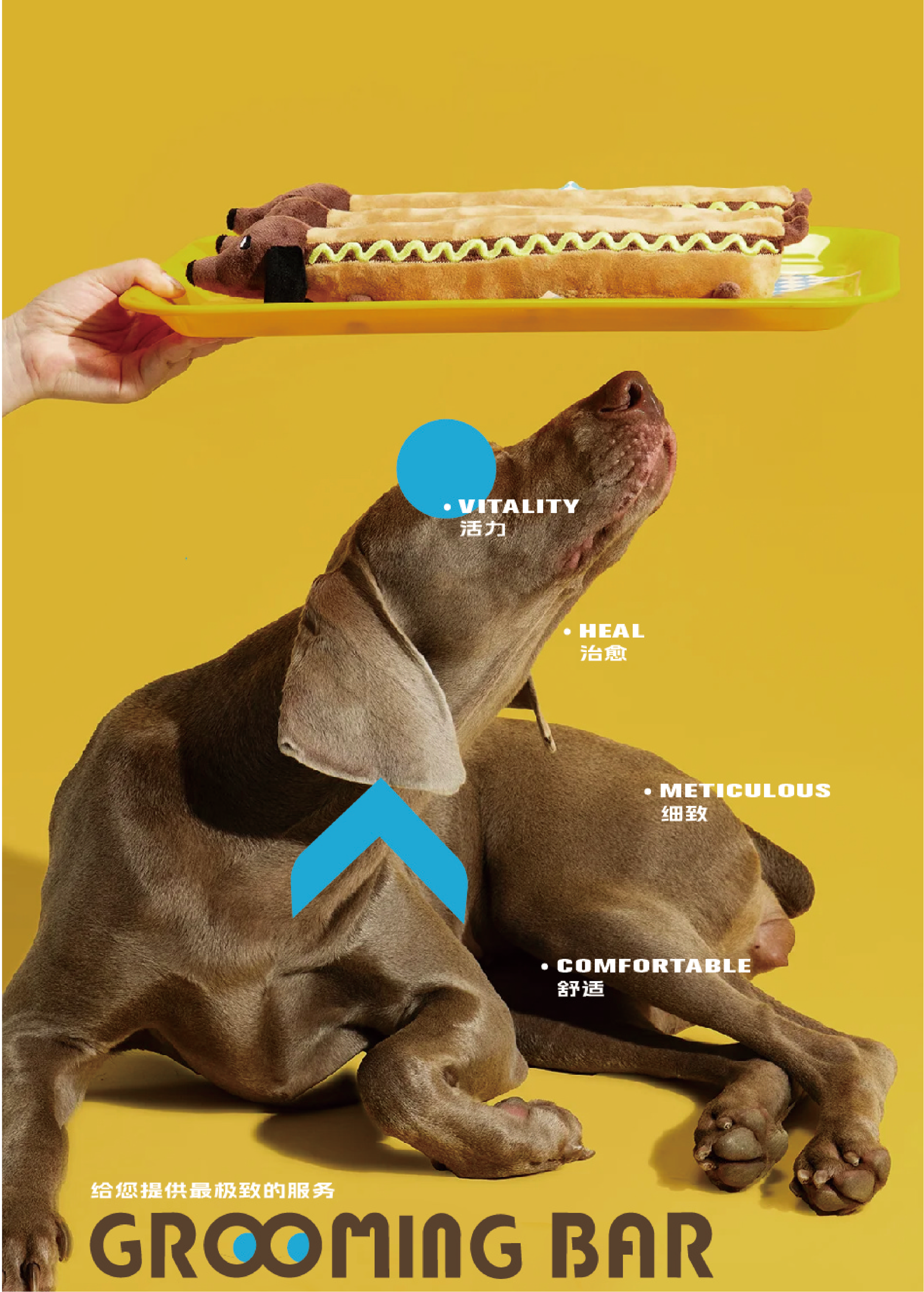 Image depicts a dog with various health-related words and virtues labeled on it, holding a yellow tray with hot dogs against a yellow background.