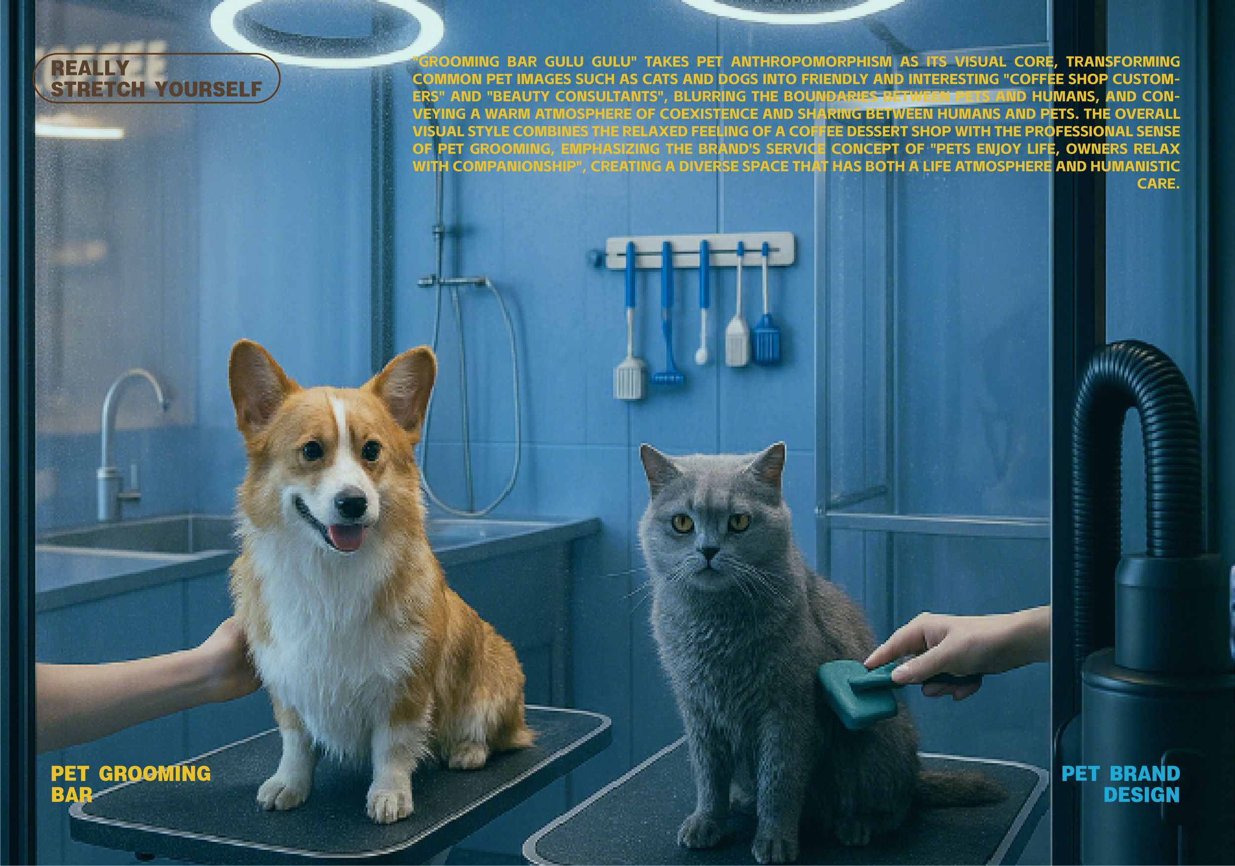 A dog getting groomed at a pet grooming station with a brush being used on it, with a cat sitting nearby. The grooming station is in a blue-tiled room with grooming tools hanging on the wall. There is a dog's face, and a person's hand is brushing the cat.