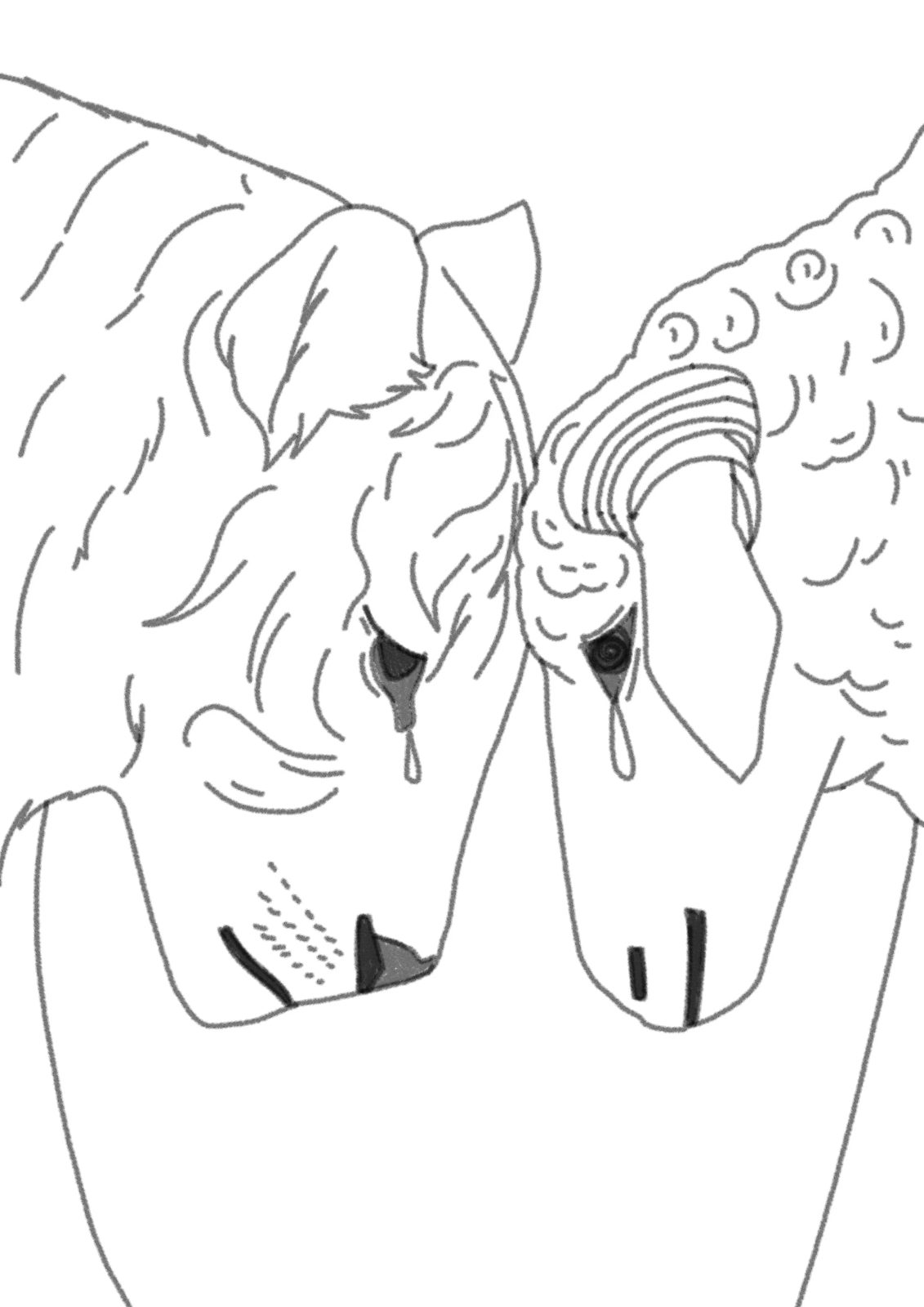 Wolf & Sheep · sketch