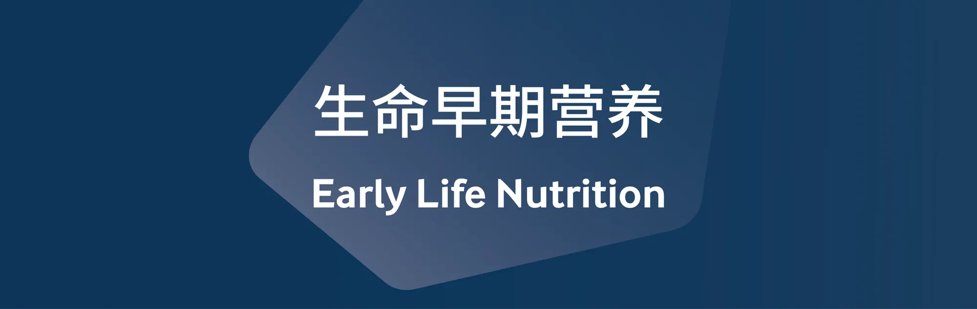 AFI Beijing Seminar — Design Application